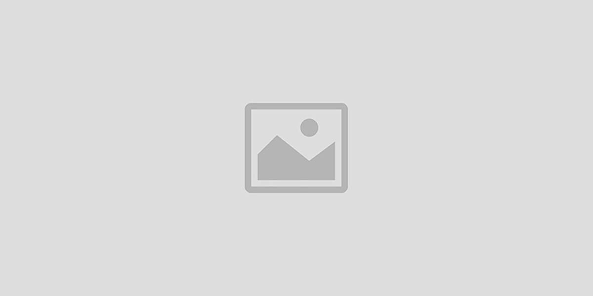 Homy Developer promo